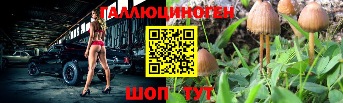 Галлюциногенные грибы мицелий Новотроицк